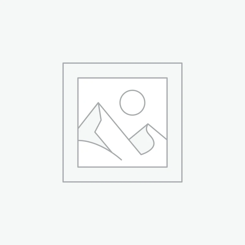 2024/51 - ANÁLISE ERGONÔMICA DO TRABALHO - GQ - MAPA